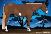 Horse Color:Chestnut Splash Frame 