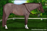 Horse Color:Chocolate Brown Roan 