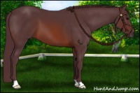 Horse Color:Chocolate Brown 