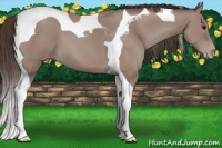 Horse Color:Classic Champagne Tobiano 