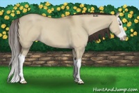 Horse Color:Classic Champagne Dun Splash 
