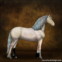 Horse Color:Painted Chocolate Palomino Ice Roan Dun Sabino