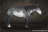 Horse Color:Brown Chinchilla Sabino 