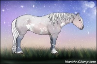 Horse Color:Watercolor White Spotted Silver Brown Chinchilla Dun Sabino 