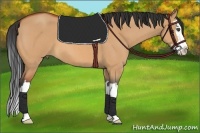 Horse Color:Bay Roan Dun Splash