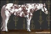 Horse Color:Chocolate Black Sabino