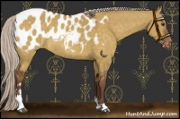 Horse Color:Chocolate Silver Brown Dun Sabino Blanket Rabicano