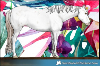 Horse Color:White Spotted Brown Pearl Sabino Varnish 