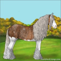 Horse Color:Silver Bay Ice Splash Rabicano 