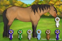 Horse Color:Brown Dun 