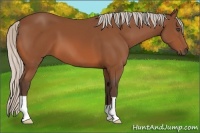 Horse Color:Silver Bay 