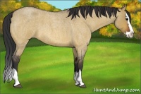 Horse Color:Bay Roan Dun Splash