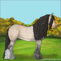Horse Color:Bay Dun Rabicano 