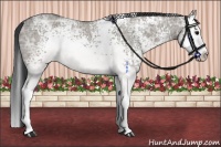 Horse Color:White Spotted Grullo Ice Roan Splash 