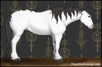 Horse Color:Smoky Black Sabino Splash