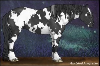 Horse Color:White Spotted Black 