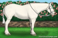 Horse Color:Cremello Roan Dun 