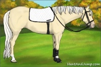 Horse Color:Silver Amber Cream Champagne Dun 
