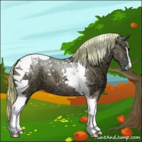 Horse Color:Painted Watercolor Chocolate Palomino Ice Dun Sabino Tobiano