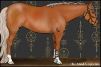 Horse Color:Silver Bay 