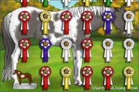 Horse Color:White Spotted Grullo Splash Tobiano Frame Appaloosa Rabicano 