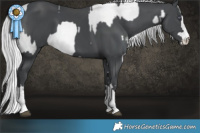 Horse Color:Silver Buckskin Chinchilla Pearl  and Silver Black Chinchilla 