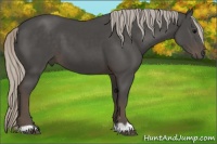 Horse Color:Silver Black 