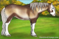 Horse Color:Silver Brown Onyx Sabino Splash