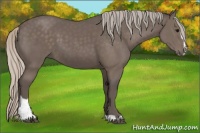 Horse Color:Silver Black Sabino 