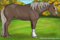 Horse Color:Silver Black 