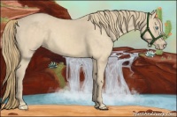 Horse Color:Perlino 