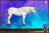 Horse Color:Black Sabino Rabicano 