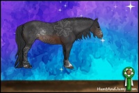 Horse Color:Brown Sabino Rabicano