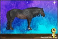 Horse Color:Brown Rabicano 