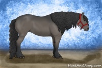 Horse Color:Black Rabicano