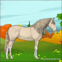 Horse Color:White Spotted Perlino Tobiano 