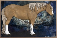 Horse Color:Chocolate Palomino