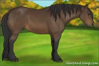 Horse Color:Brown 