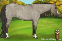 Horse Color:Smoky Grullo Roan Sabino Rabicano 