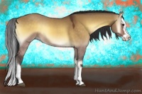 Horse Color:Buckskin Onyx Sabino Splash