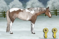 Horse Color:White Spotted Silver Black Tobiano 