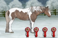 Horse Color:White Spotted Silver Black Tobiano Rabicano
