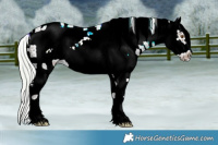 Horse Color:Watercolor White Spotted Silver Black Ice Pearl Sabino Frame 