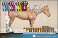 Horse Color:White Spotted Silver Brown Pearl Tobiano Rabicano