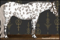 Horse Color:Silver Blue Roan Near Leopard 