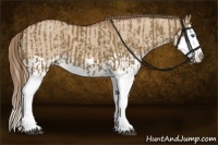 Horse Color:Liver Red Dun Splash  and Red Dun Splash 