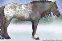 Horse Color:Nacre Brown Ice Rabicano