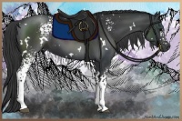 Horse Color:White Spotted Black 