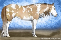 Horse Color:White Spotted Liver Chestnut Pearl Splash 