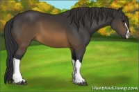 Horse Color:Brown 